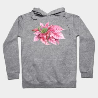 Christmas Poinsettia. Watercolor painting Hoodie